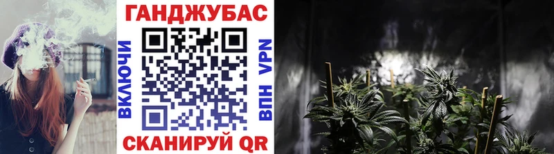 сколько стоит  Куртамыш  Бошки Шишки ГИДРОПОН 